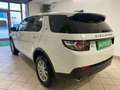 Land Rover Discovery Sport 2.0 TD4 150 CV Auto Business Edition Pure Wit - thumbnail 4