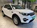 Land Rover Discovery Sport 2.0 TD4 150 CV Auto Business Edition Pure Bianco - thumbnail 1
