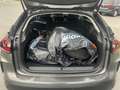 Citroen C4 PureTech 130 S&S Feel Pickerl neu bis 01/2027 F... Grau - thumbnail 11