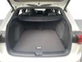 Volkswagen Golf VIII Variant 2.0 TSI DSG R-Line PANO*LED*NAV*SH... Weiß - thumbnail 9