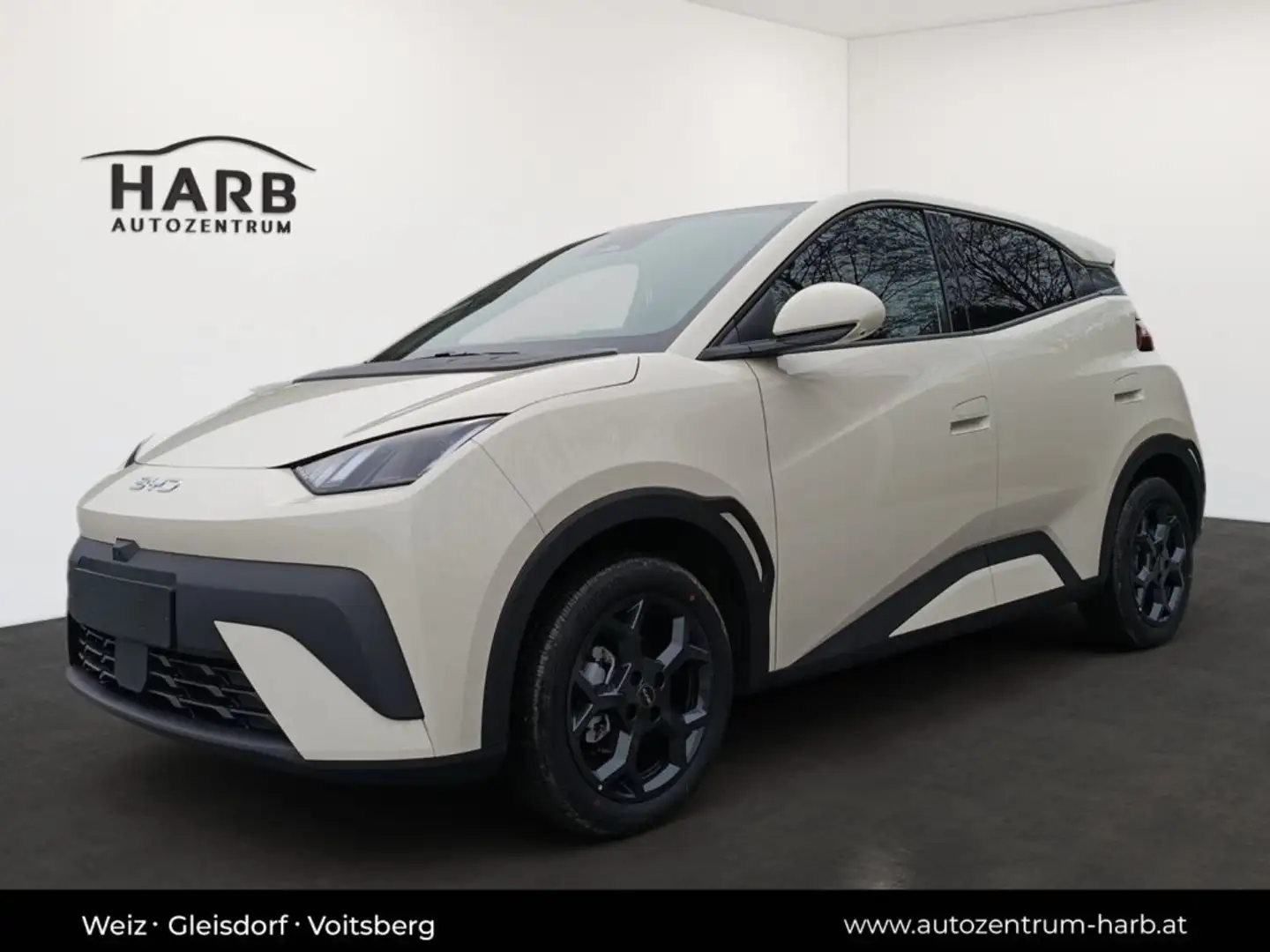 BYD Dolphin Surf Comfort Weiß - 2