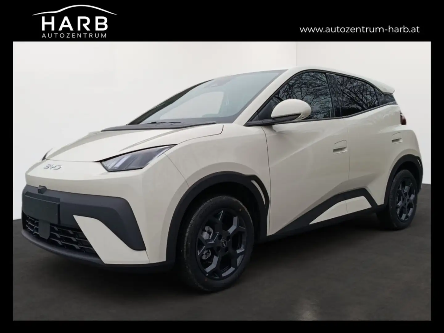 BYD Dolphin Surf Comfort Weiß - 1