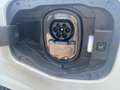Ford E-Transit Transit Courier Trend BEV 136PS 100kW Elektro *Kamera Weiß - thumbnail 5