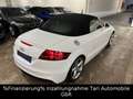 Audi TT 1.8 TFSI Roadster 3xS-Line MMI-Plus, Bi-Xenon Biały - thumbnail 8