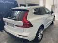 Volvo XC60 XC60 II  2.0 b4 Business Plus awd geartronic Bianco - thumbnail 11