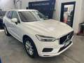 Volvo XC60 XC60 II  2.0 b4 Business Plus awd geartronic Bianco - thumbnail 10