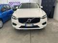 Volvo XC60 XC60 II  2.0 b4 Business Plus awd geartronic Bianco - thumbnail 7