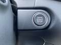 Kia Ceed / cee'd Ultimate Edition 1.5T 48V DCT Style Weiß - thumbnail 14