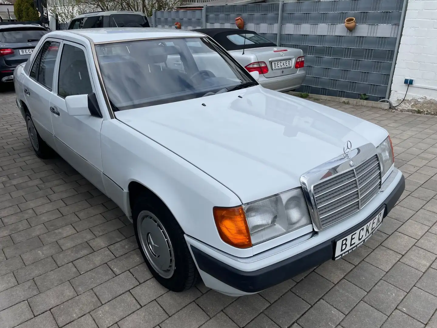 Mercedes-Benz 250 D Automatik Klima Standh.1-Hand Scheckh.AHK Белый - 1