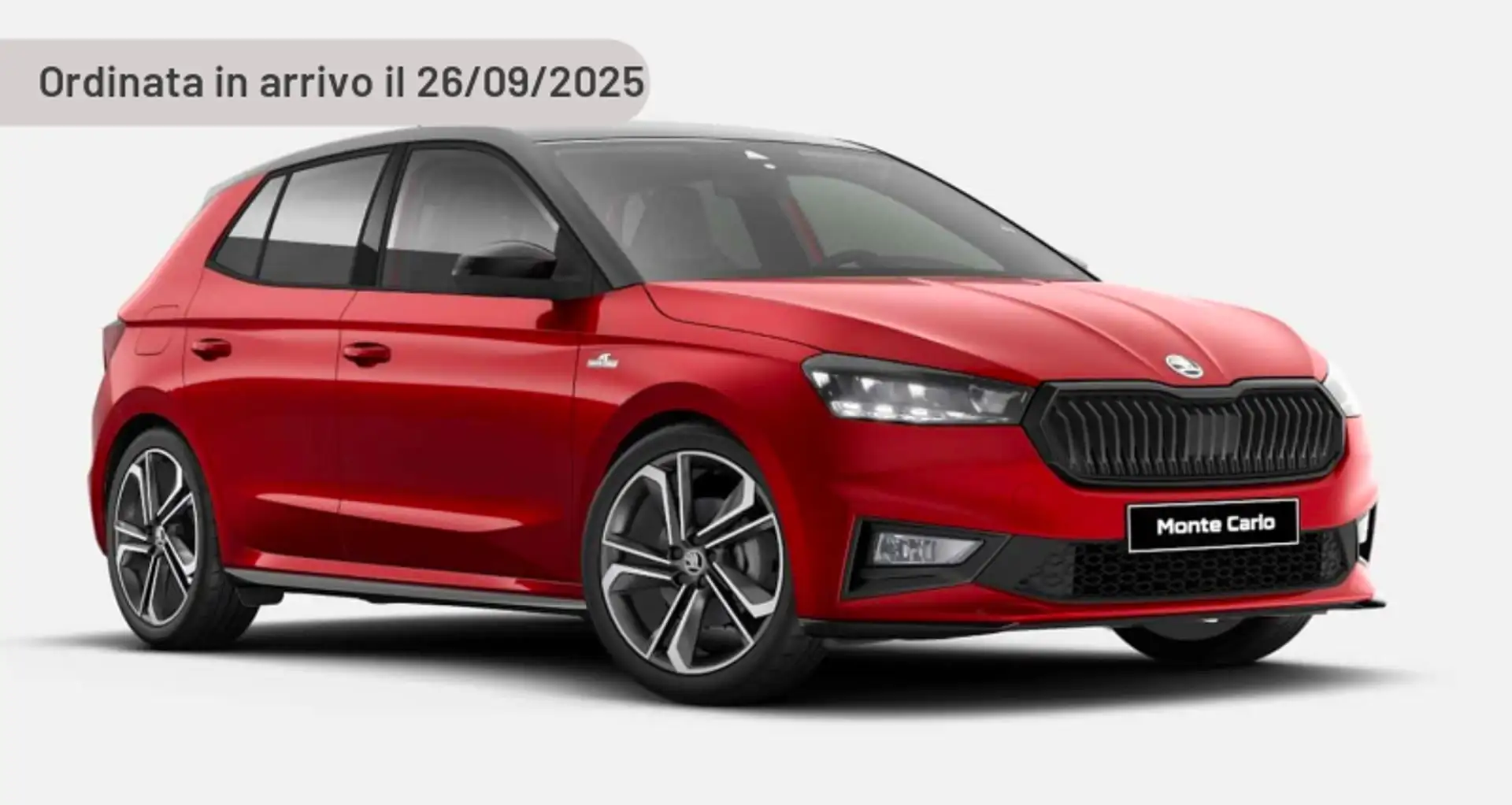 Skoda Fabia 1.0 TSI 95 CV 130 Edition Argento - 1