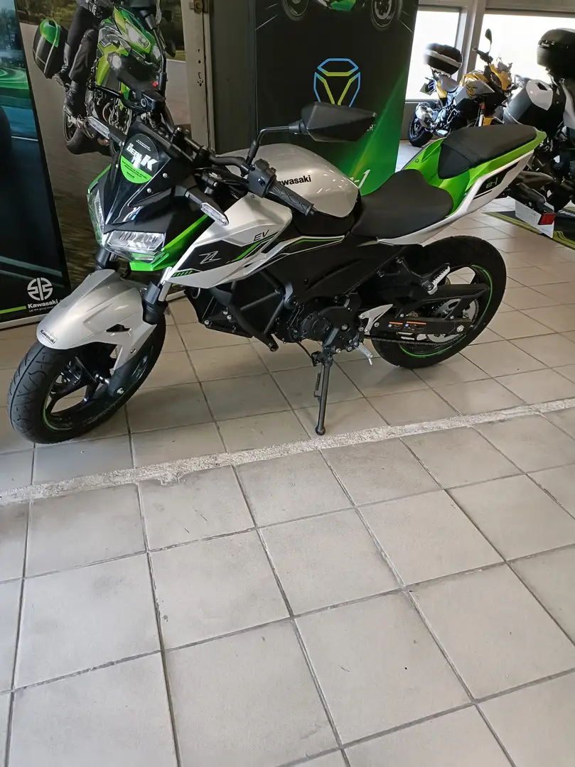 Kawasaki Gris - 1
