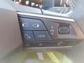 SEAT Ibiza 1.0 Style LED ACA SHZ 2xPDC KAM ALU BT Negru - thumbnail 15