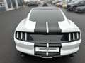 Ford Mustang MUSTANG GT EU NEUWERTIG OXIGIN GEWINDEFAHRWERK Weiß - thumbnail 6