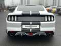 Ford Mustang MUSTANG GT EU NEUWERTIG OXIGIN GEWINDEFAHRWERK Weiß - thumbnail 8