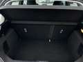 Ford Fiesta Trend RADIO/DAB WINTER/KOMFORT/TECHNIK-PAKET LMF P Gris - thumbnail 23