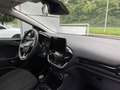 Ford Fiesta Trend RADIO/DAB WINTER/KOMFORT/TECHNIK-PAKET LMF P Gris - thumbnail 13