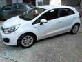Kia Rio Rio III 2011 5p 1.2 GPL 68.000KM!!!!! Bianco - thumbnail 2