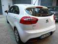 Kia Rio Rio III 2011 5p 1.2 GPL 68.000KM!!!!! Bianco - thumbnail 3
