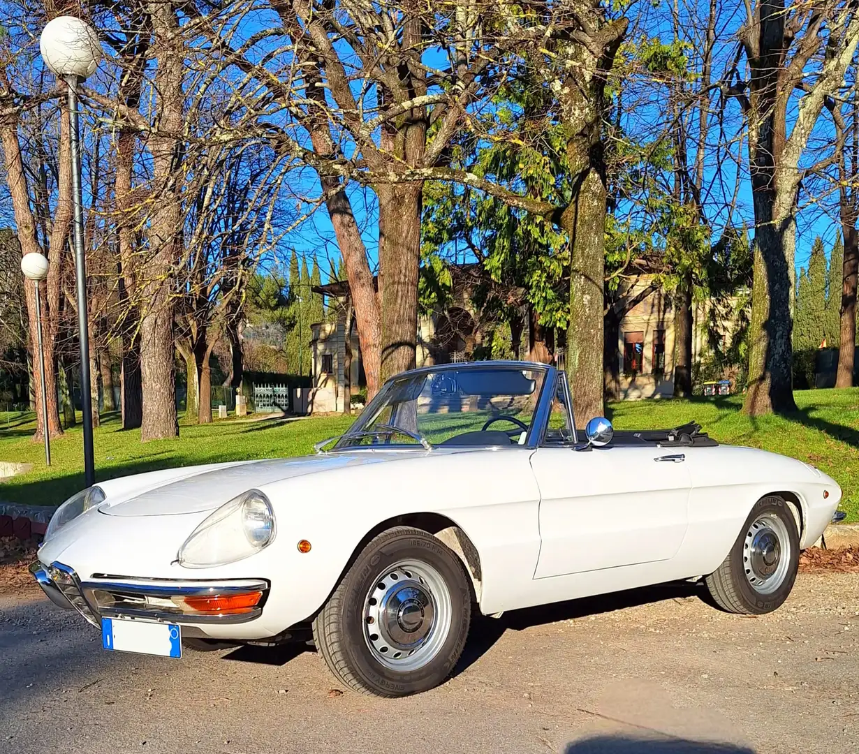 Alfa Romeo Spider Duetto 1750 Osso di Seppia - ASI - RESTAURO TOTALE Weiß - 1