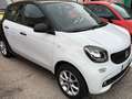 smart forFour Forfour II 2015 1.0 Prime 71cv Bianco - thumbnail 2