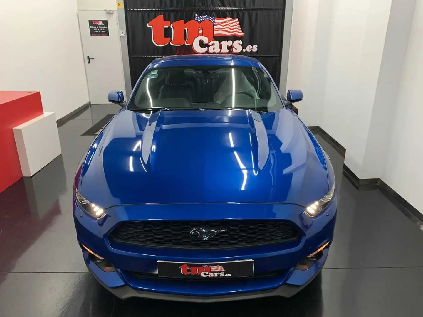 Ford Mustang Ecoboost  PREMIUM Blu/Azzurro - 1