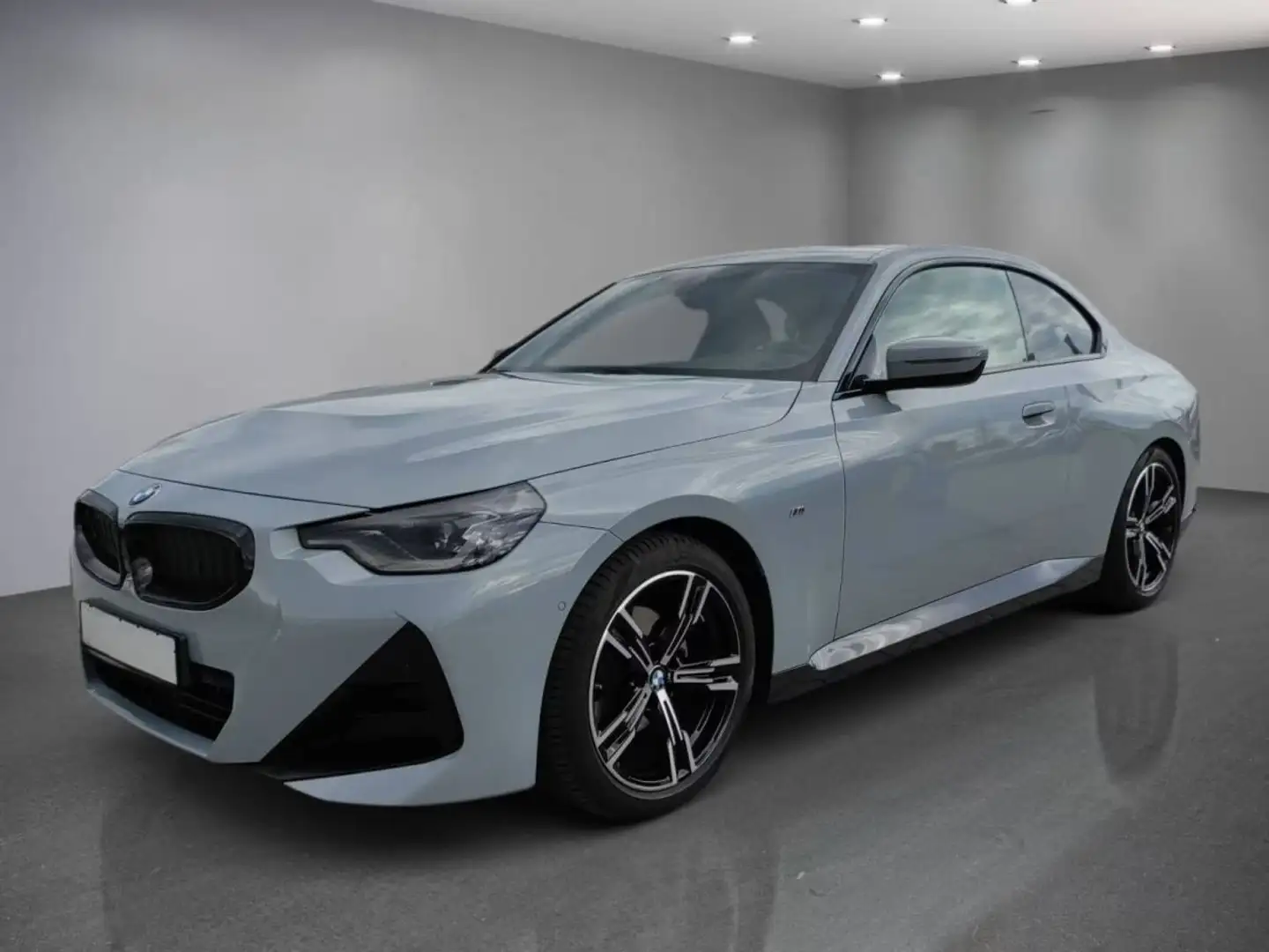 BMW 220 220 i M Sport, Harman-Kardon, ACC, caméra, siège Gris - 1