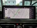 BMW X4 20d M-Sport Tetto Navi CAM LED Clima3Zone MSport Grau - thumbnail 30