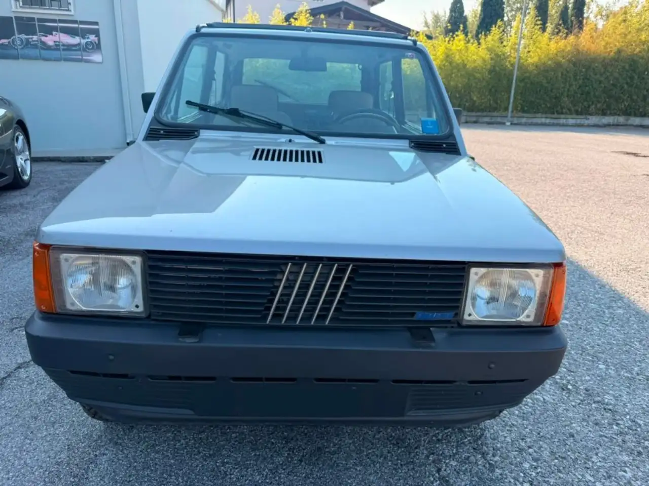Fiat Panda 1ª serie 4x4, foto 5