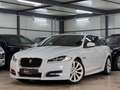 Jaguar XF Sportbrake 2.2 Diesel MERIDIAN*SDACH*MEMO*ACC Weiß - thumbnail 3