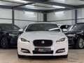 Jaguar XF Sportbrake 2.2 Diesel MERIDIAN*SDACH*MEMO*ACC Weiß - thumbnail 2