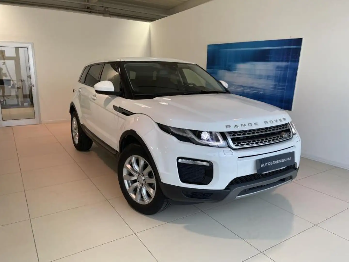 Land Rover Range Rover Evoque 1ª serie 2.0 TD4 150 CV 5p. Pure Bílá - 1