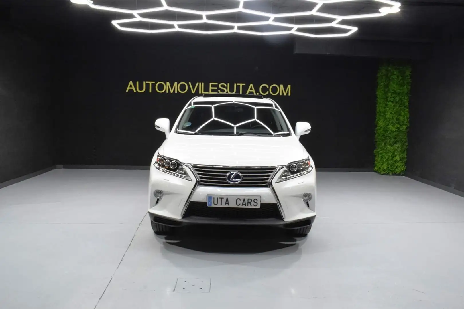 Lexus RX 450h Luxury Biały - 2