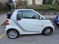 smart forTwo smart fortwo cabrio micro hybrid pure pure Weiß - thumbnail 4