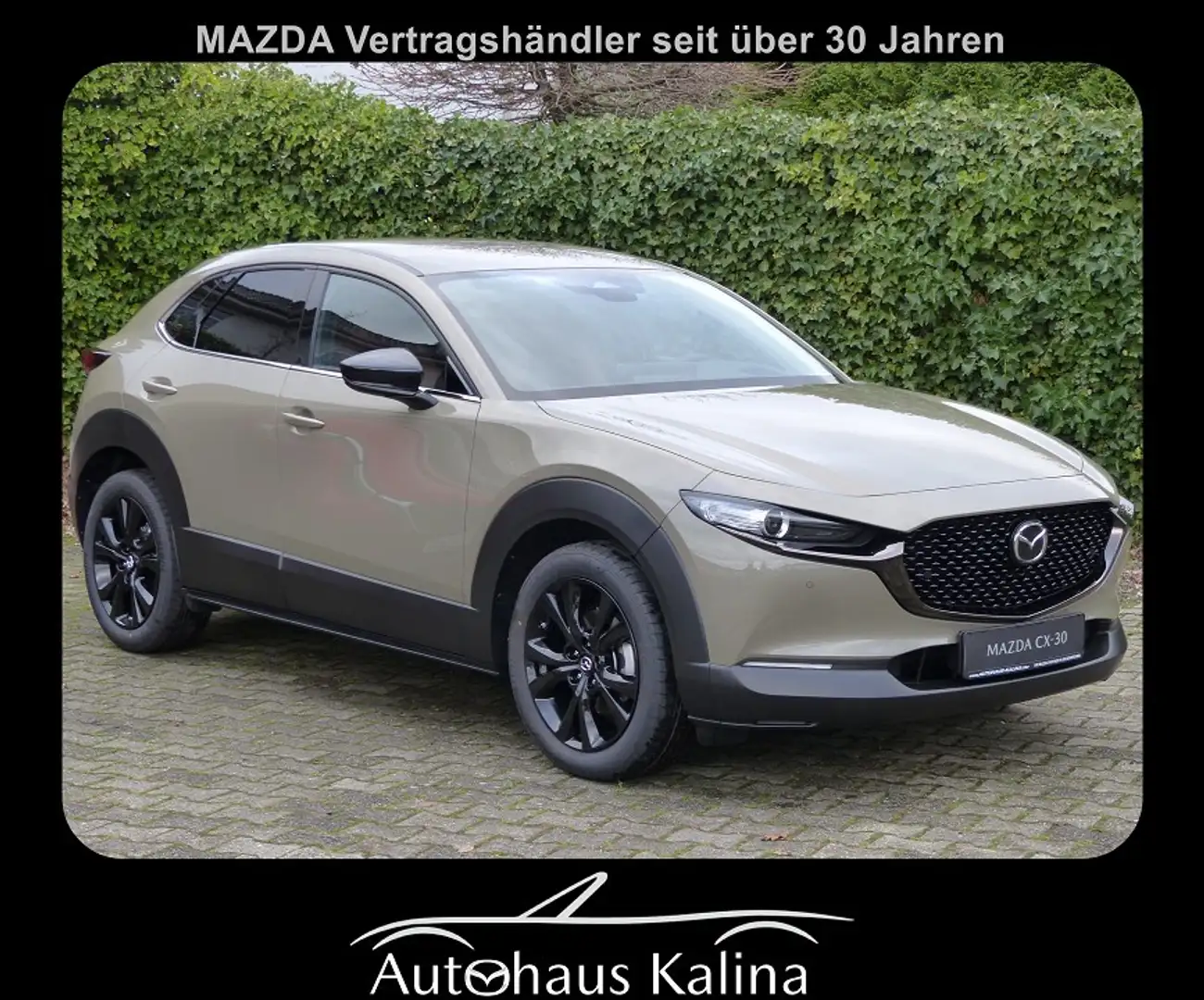 Mazda CX-30 2.5L e-SKYACTIV G 140ps 6AT FWD Nagisa Grau - 1