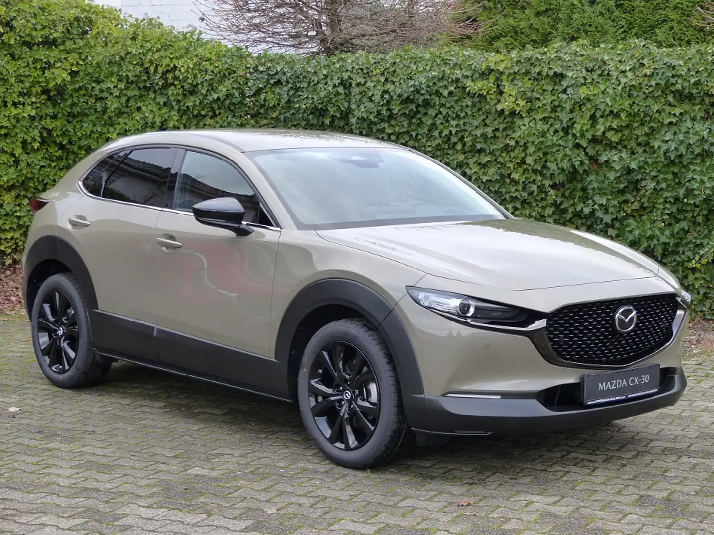 Mazda CX-30 2.5L e-SKYACTIV G 140ps 6AT FWD Nagisa Grau - 2