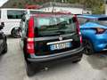 Fiat Panda 1.2 Eco Dynamic 1021033 Schwarz - thumbnail 4