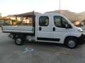 Fiat Fiat Ducato 2.0 MJT 115 cav. cassone fisso 7 posti Blanc - thumbnail 4