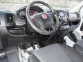 Fiat Fiat Ducato 2.0 MJT 115 cav. cassone fisso 7 posti Blanc - thumbnail 13