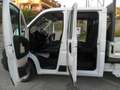 Fiat Fiat Ducato 2.0 MJT 115 cav. cassone fisso 7 posti Blanc - thumbnail 16