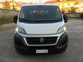 Fiat Fiat Ducato 2.0 MJT 115 cav. cassone fisso 7 posti Blanc - thumbnail 3