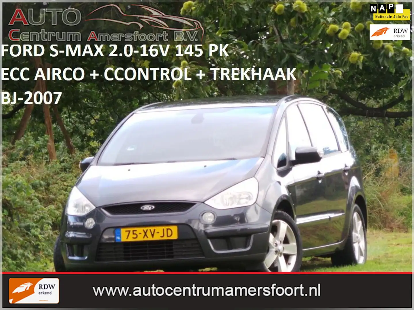 Ford S-Max 2.0-16V ( INRUIL MOGELIJK ) Grijs - 1