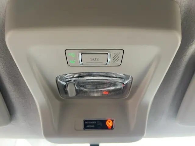 Dacia Spring view 17
