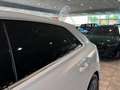 Audi Q8 50 TDI 286 CV QUATTRO TIPTRONIC SPORT *UNIPROP*TET Bianco - thumbnail 21