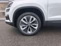 Skoda Karoq 4x4 Selection TDI DSG Weiß - thumbnail 4