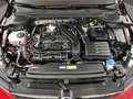 Volkswagen Golf VIII Basis (12/2029Garantie.Sitzheizung.DAB+) 1.5 Rot - thumbnail 17