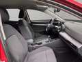 Volkswagen Golf VIII Basis (12/2029Garantie.Sitzheizung.DAB+) 1.5 Rot - thumbnail 8