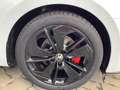 Skoda Octavia OCTAVIA COMBI RS 2.0 TDI DSG ** OHNE KM! ** Bianco - thumbnail 11