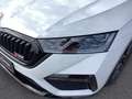 Skoda Octavia OCTAVIA COMBI RS 2.0 TDI DSG ** OHNE KM! ** Wit - thumbnail 2