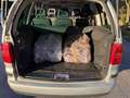 Volkswagen Sharan Sharan 1.9 tdi Trendline 130cv - thumbnail 17