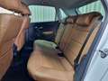 Volkswagen Polo 1.4 TDI Highline GTI -Look *Automaat* Leder / Crui Fehér - thumbnail 15